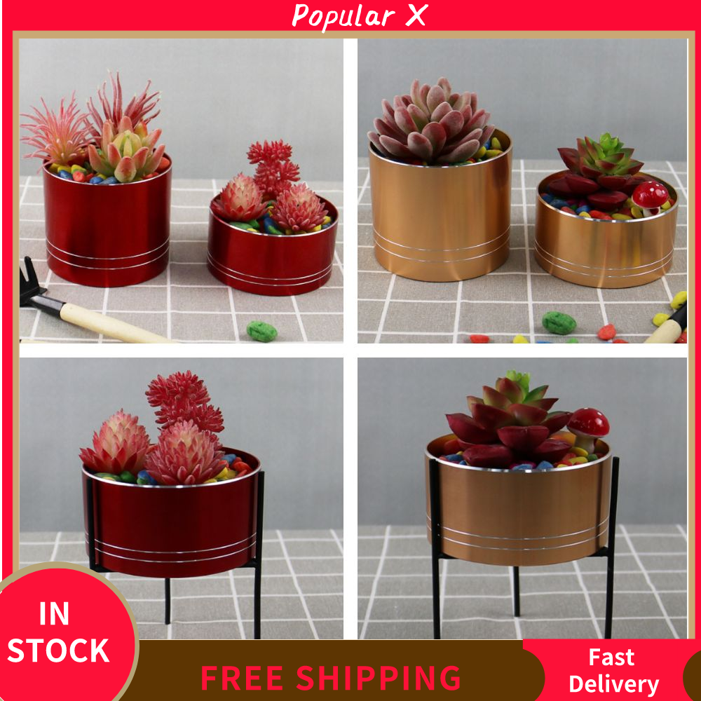 POPULAR X Hợp nhôm Chậu hoa mọng nước Xi lanh Nhiều màu Chậu hoa Sáng Tạo Thông gió Hộp đựng cây