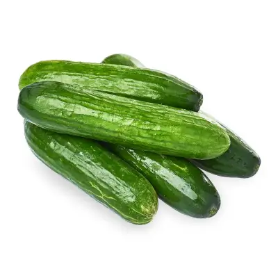Givvo Lebanese Cucumber