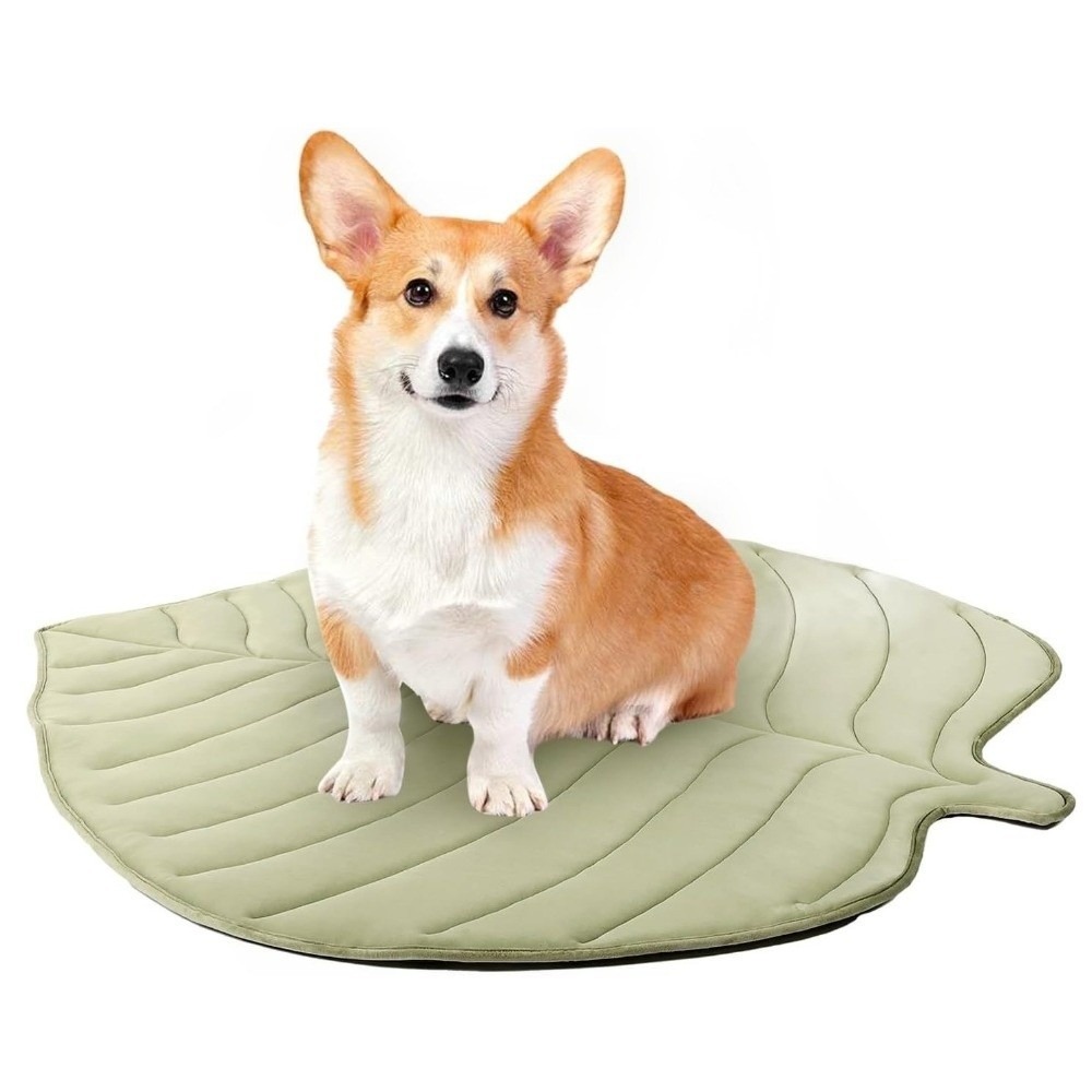 SPDD Nhẹ Thảm làm mát cho thú cưng Hình chiếc lá Có thể giặt Đệm giường cho mèo  Lá Ginkgo Thảm làm mát cho chó Trong nhà - 2
