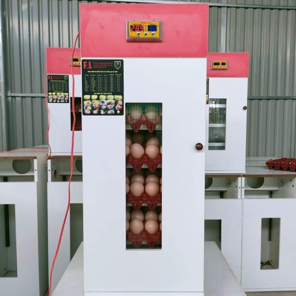 Giá bán máy ấp trứng mini futu life 120 trứng