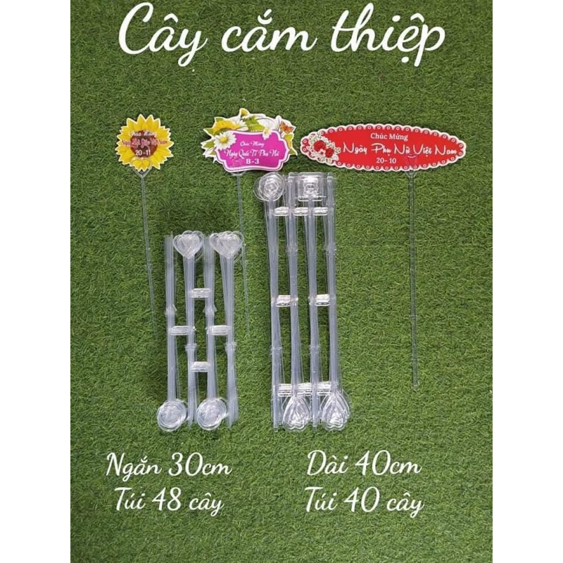 Cây cắm thiệp chúc mừng khai trương
