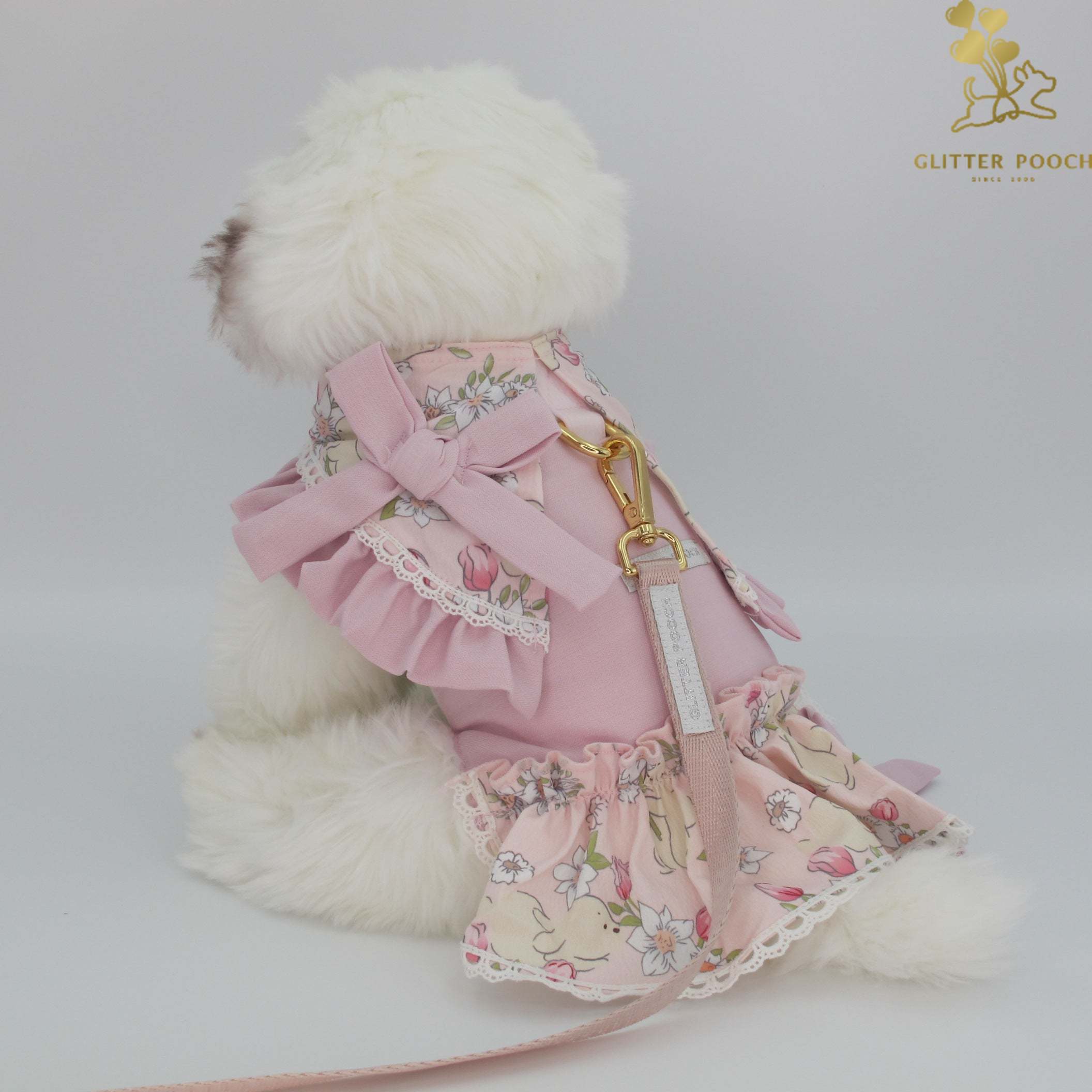 Glitter Pooch Harness ชุดรัดอก สายจูง เสื้อผ้า สุนัข, หมา, แมว, สัตว์เลี้ยง พร้อม สายจูง รุ่น Celinebun Dressy ราคา 950 บาท*ส่งฟรี