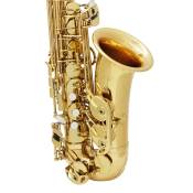 Golden Professional Alto Saxophone with Box and Mouthpiece