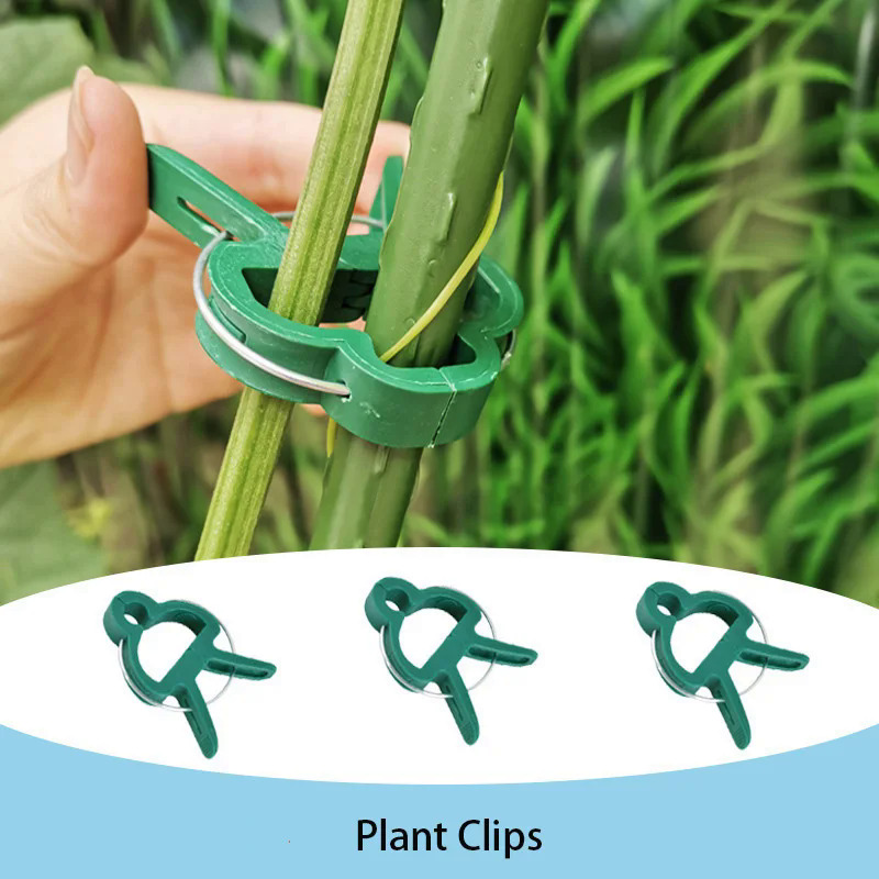 20pcs Vườn thực vật Clip tái sử dụng thực vật hỗ trợ Clip để hỗ trợ thân cây của hoa nho Rau Cà Chua Leo 2 kích cỡ