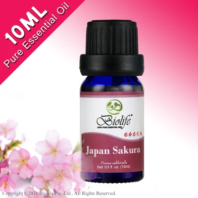 Biolife Japan Sakura, 100% Pure Aromatherapy Natural Organic Essential Oil, 10ml Bottle, suitable use for Diffuser, Humidifier, Massage, Skin Care