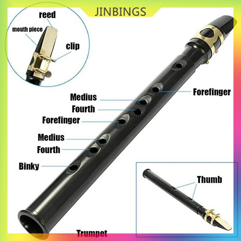 JINBINGS Mini Portable Saxophone Set with Reeds