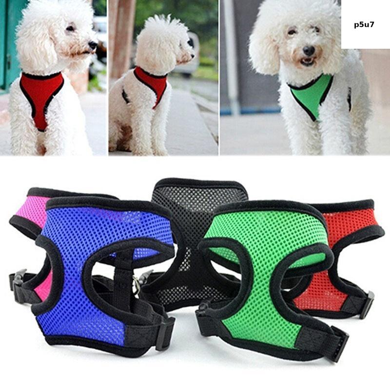 Dây đeo huấn luyện thú cưng thoáng khí mềm mại với áo lưới nylon có thể điều chỉnh mang lại sự thoải mái và an toàn lý tưởng cho những chú chó năng động và Những cuộc phiêu lưu ngoài trời phụ kiện thú cưng thời trang