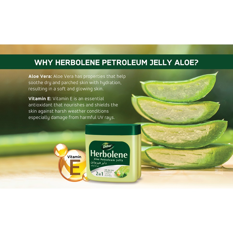 aloe vera saft anwendung Bio Aloe Vera Saft  Natrlicher Vital-Drink fr Dich