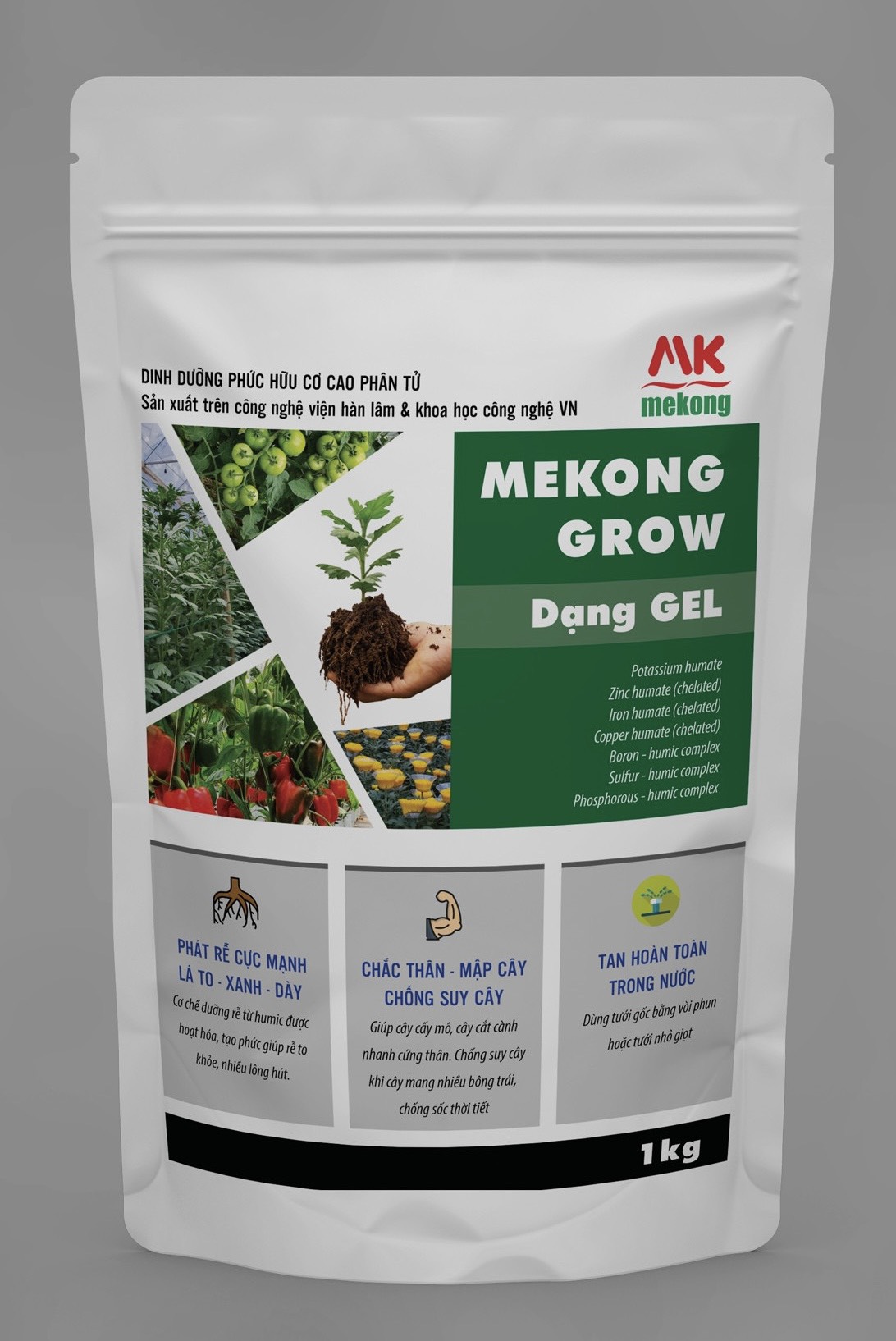 Phát rễ cực mạnh, phát đọt, dày lá, mập thân Mekong Grow