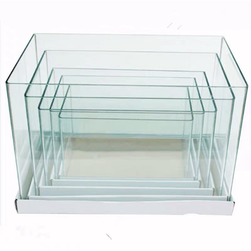 Hồ đúc uốn cong cạnh - kính trong | dùng để chơi thuỷ sinh, cá cảnh, tép cảnh