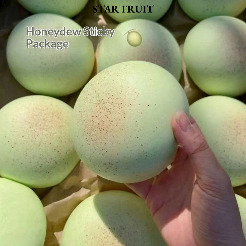 [STAR FRUIT Honeydew Melon Squishy Stress Relief Toy - Soft Anti-Stress Play for All Ages,STAR FRUIT Soft Stress-Relieving Toy, Squeezable and Massaging, Green Melon Pattern - Soft Stress-Relieving Toy for All Ages,] ราคา 50 บาท*ส่งฟรี