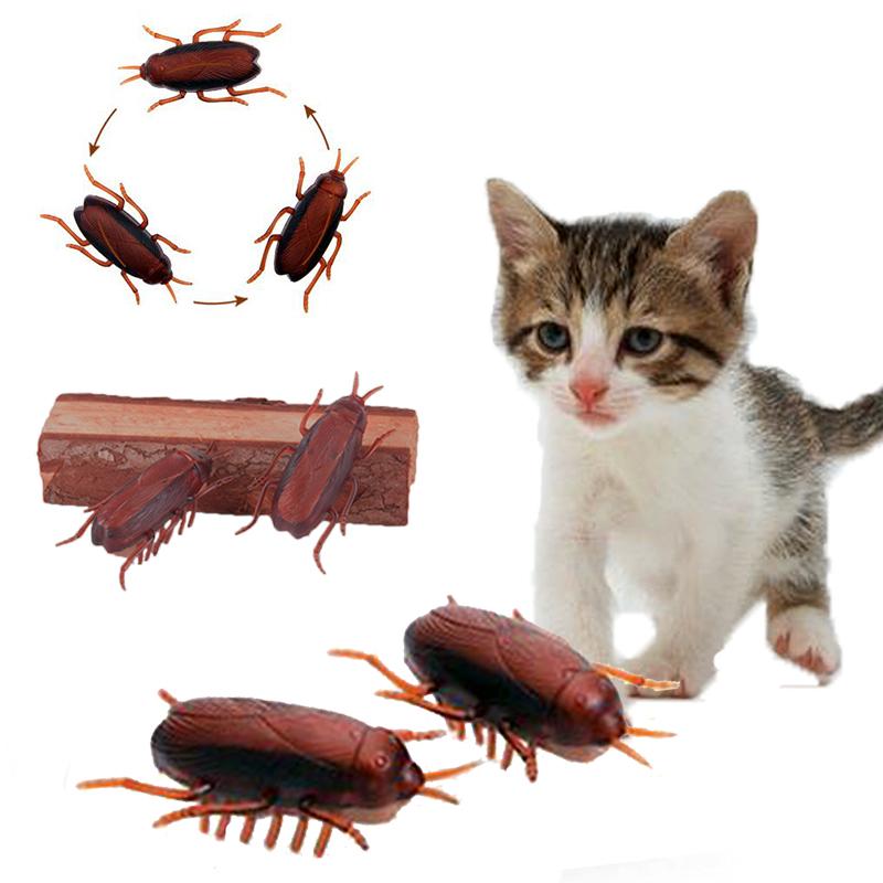 Sissi Funny Electronic Cockroach Pet Cat Puppy Kitten Interactive Training Play Toy By Sissi Princess