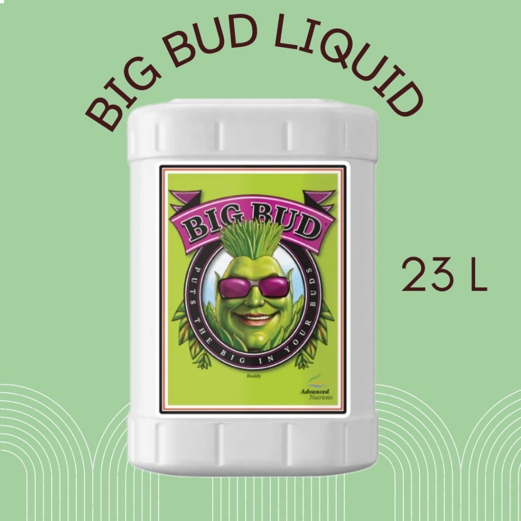 [สินค้าพร้อมจัดส่ง]⭐⭐Big bud 6 Gal (23L) แบบน้ำ ปุ๋ยเร่งดอกใหญ่ ของแท้100%จาก USA ขวดจรืง[สินค้าใหม่]จัดส่งฟรีมีบริการเก็บเงินปลายทาง⭐⭐ ราคา 43,140 บาท*ส่งฟรี