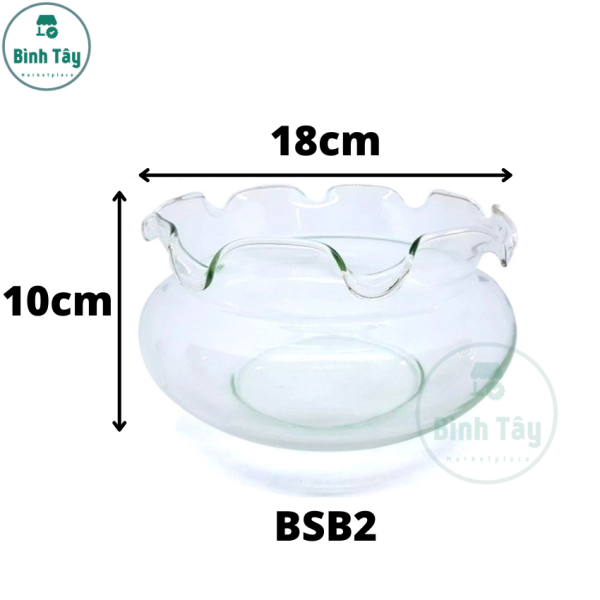 Bể cá BSB2 thủy tinh dáng bonsai miệng nhúng bèo sang trọng để nuôi cá trồng cây trang trí BT-BSB2