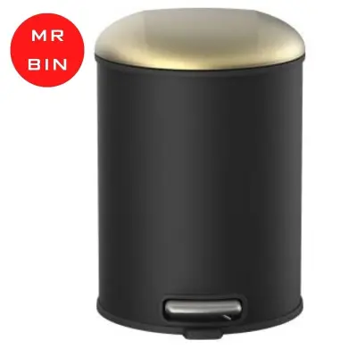 Mr Bin Aesthetic 8L/12L Stainless Steel Pedal Step Dustbin/Rubbish Bin with Soft Close