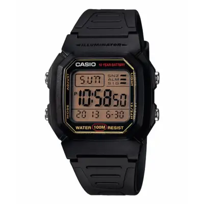 Casio Standard Digital Watch (W-800HG-9AV)