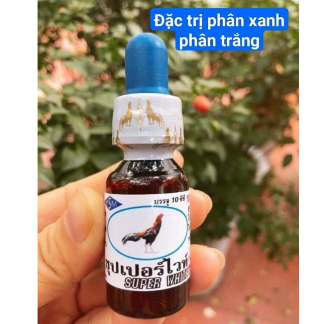 Super White - th gà đá tr phân xanh , phân trắng , tiêu chảy