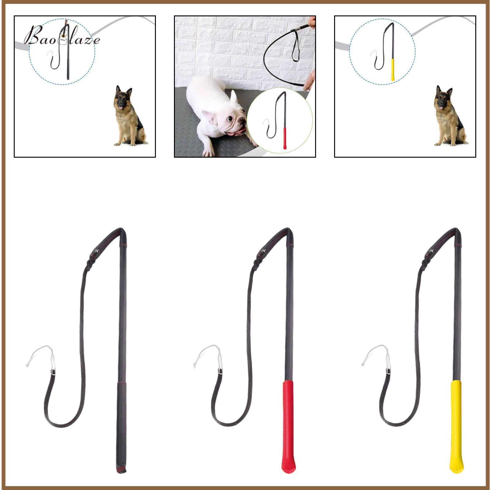 Dog Training Whip Easy to Use Exercise Discipline Whip Rod Obedience Training Behavior Training Tool for Chasing Teasing Chewing ราคา 12,580 บาท*ส่งฟรี