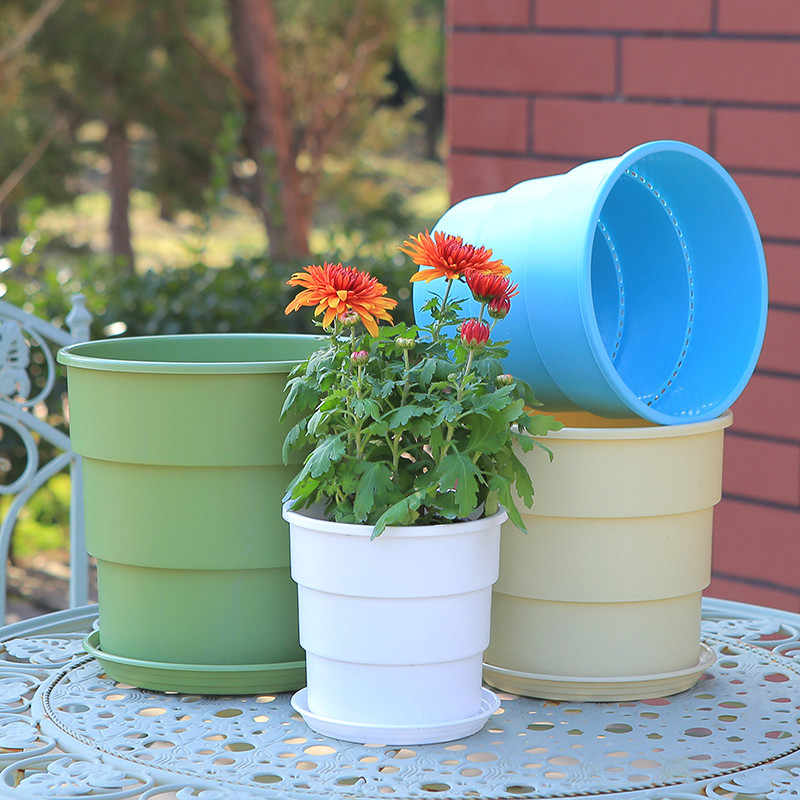 Spring Home กระถางแคคตัส รุ่นหนาพิเศษ กระถางพร้อมจานรอง กระถาง เหมาะสำหรับปลูก ตกแต่งเดสก์ท็อป ราคา 57 บาท*ส่งฟรี