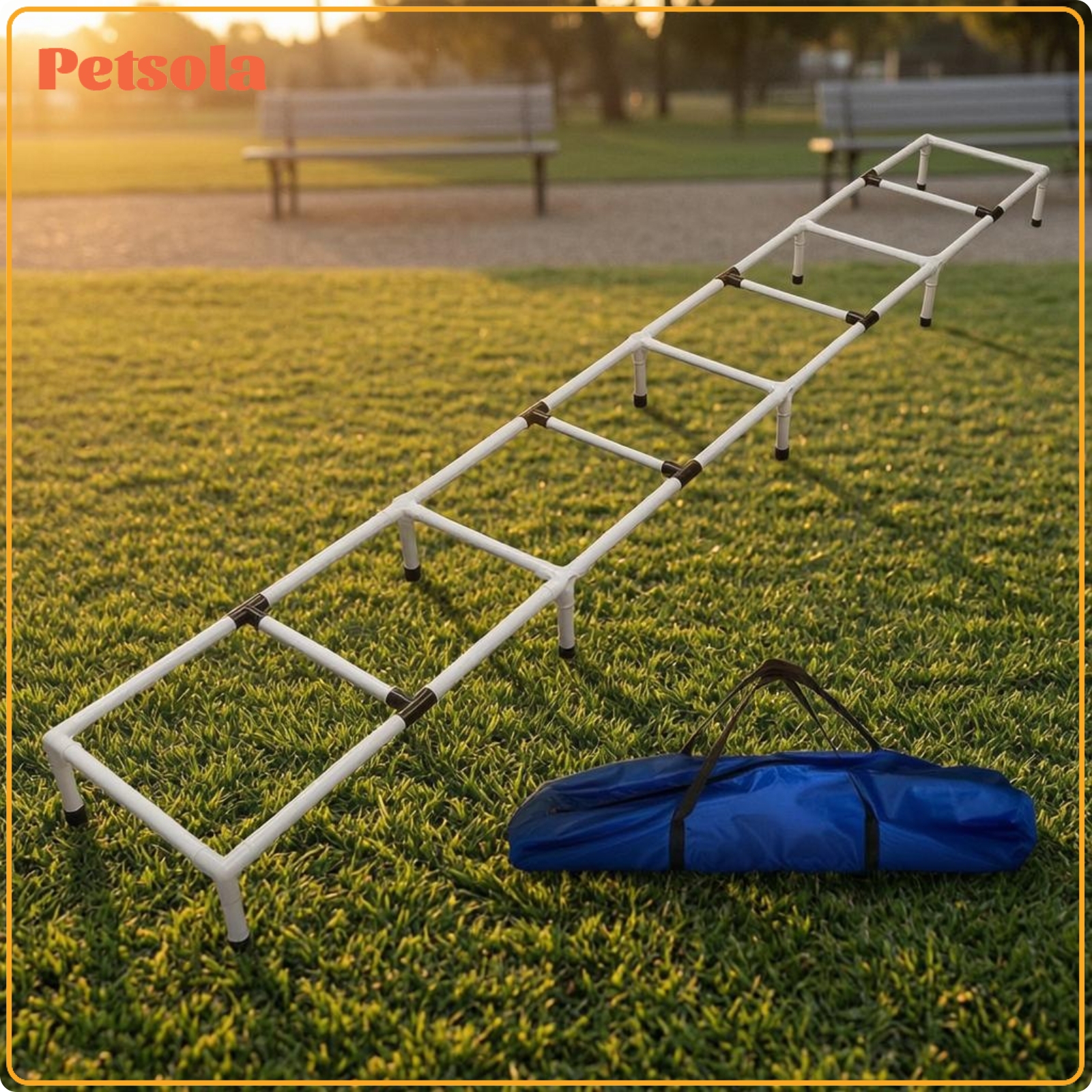 petsola Zippered Carry Bag Agility Obstacle Ladder Set Cylindrical Frame Dog Agility Ladder Square Stepping Sections Pet Exercise Equipment Support Legs ราคา 2,106 บาท*ส่งฟรี