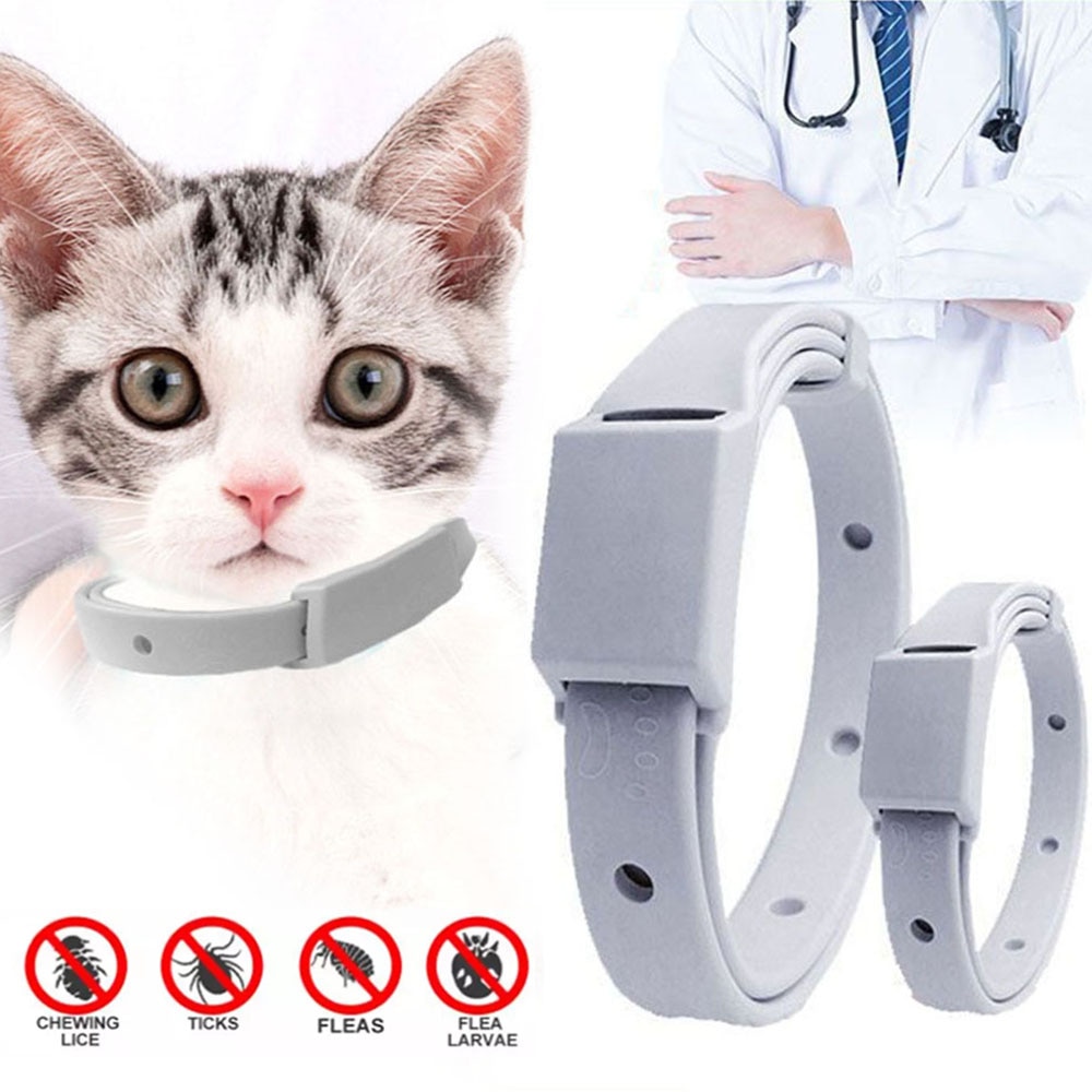】 、 、 、;【 Chống bọ chét Vòng cổ chống ve cho mèo chó nhỏ chống ký sinh trùng 8 tháng bảo vệ có thể điều chỉnh Puppy Kitten cổ áo ly khai phụ kiện thú cưng