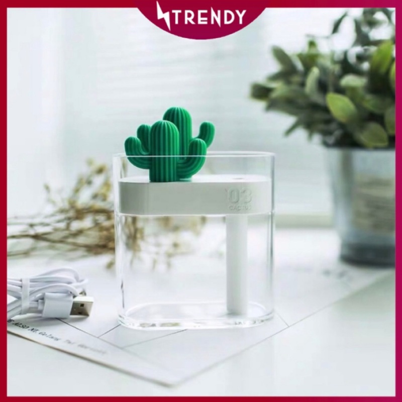 Cactus Air Purifier Modern and Stylish Office Living Nordic Humidifier Singapore