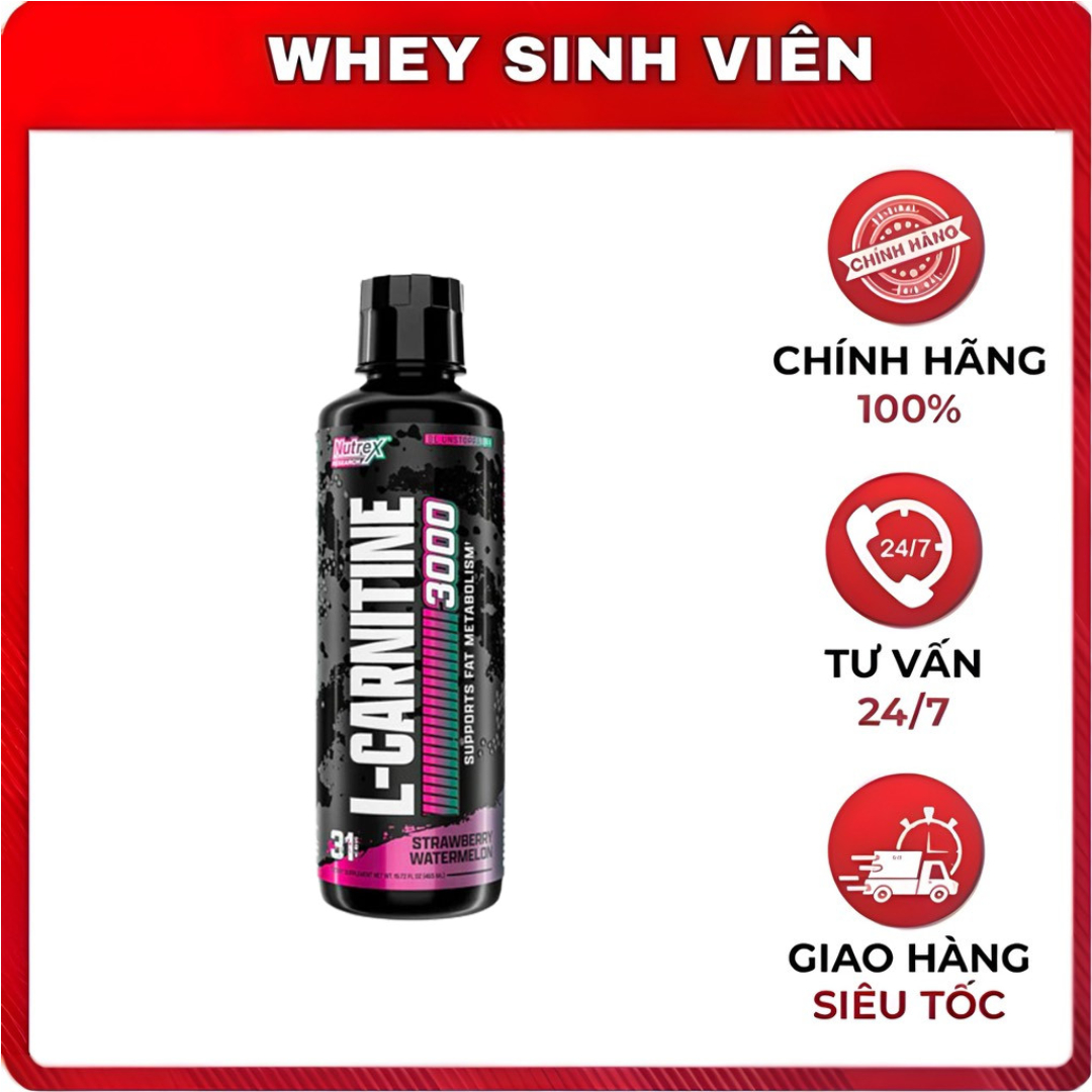 [31 servings] Nutrex L Carnitine 3000, Ronnie Coleman TPBS Dạng Lỏng Hỗ Trợ Tập Luyện 465ml tại Whey