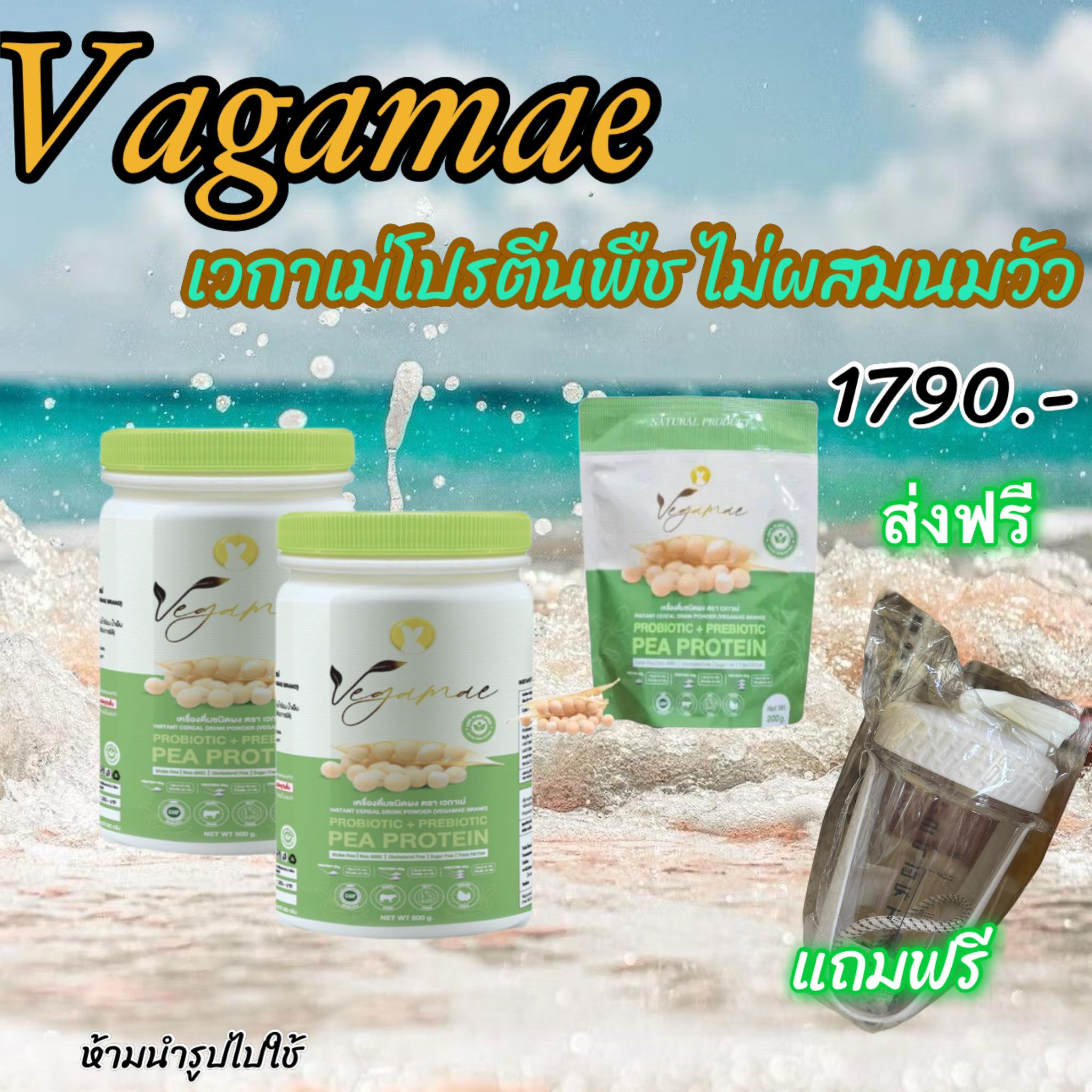 เข้าโปรแกรมส่งฟรี .- VEGAMAE ️3 แถม 1โปรตีนถั่วลันเตาสีทอง ตรา เวกาเม่ (แบบเซต) ราคา 1,790 บาท*ส่งฟรี