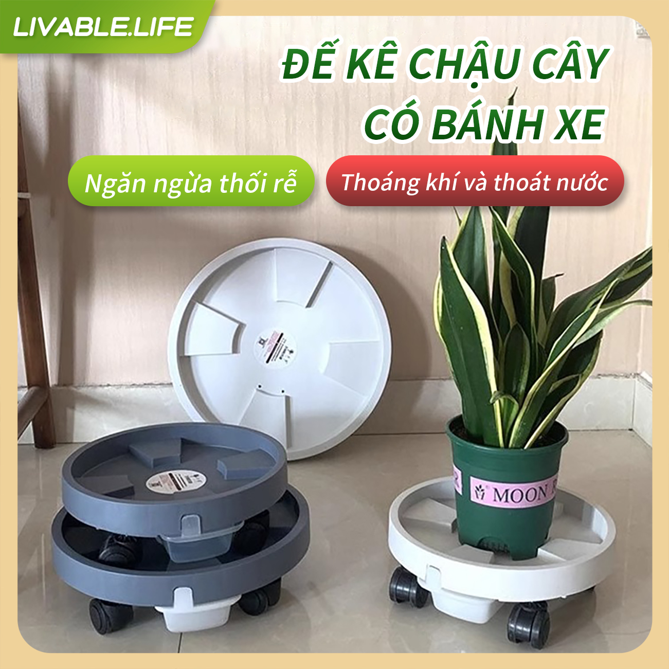 Đế kê chậu cây đế để chậu cây có khay hứng nước đế lót cây cảnh có bánh xe di chuyển đa năng