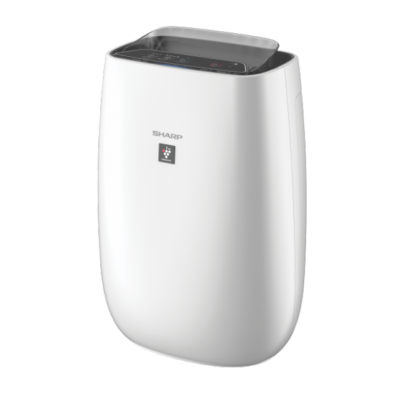 SHARP FP-J40E-W AIR PURIFIER WITH HEPA FILTER, ION PLASMACLUSTER, HAZE MODE, UPTO 30M2 ROOM SIZE, 1 YEAR WARRANTY Singapore