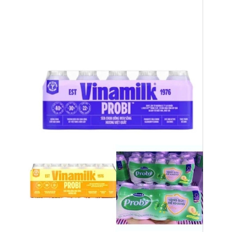 🫐3 Sữa Chua Uống Probi Dưa Gang, Dứa Thơm, Việt Quất, Men Sống Lốc 5 Chai x 65ml (Hỏa Tốc)🍍