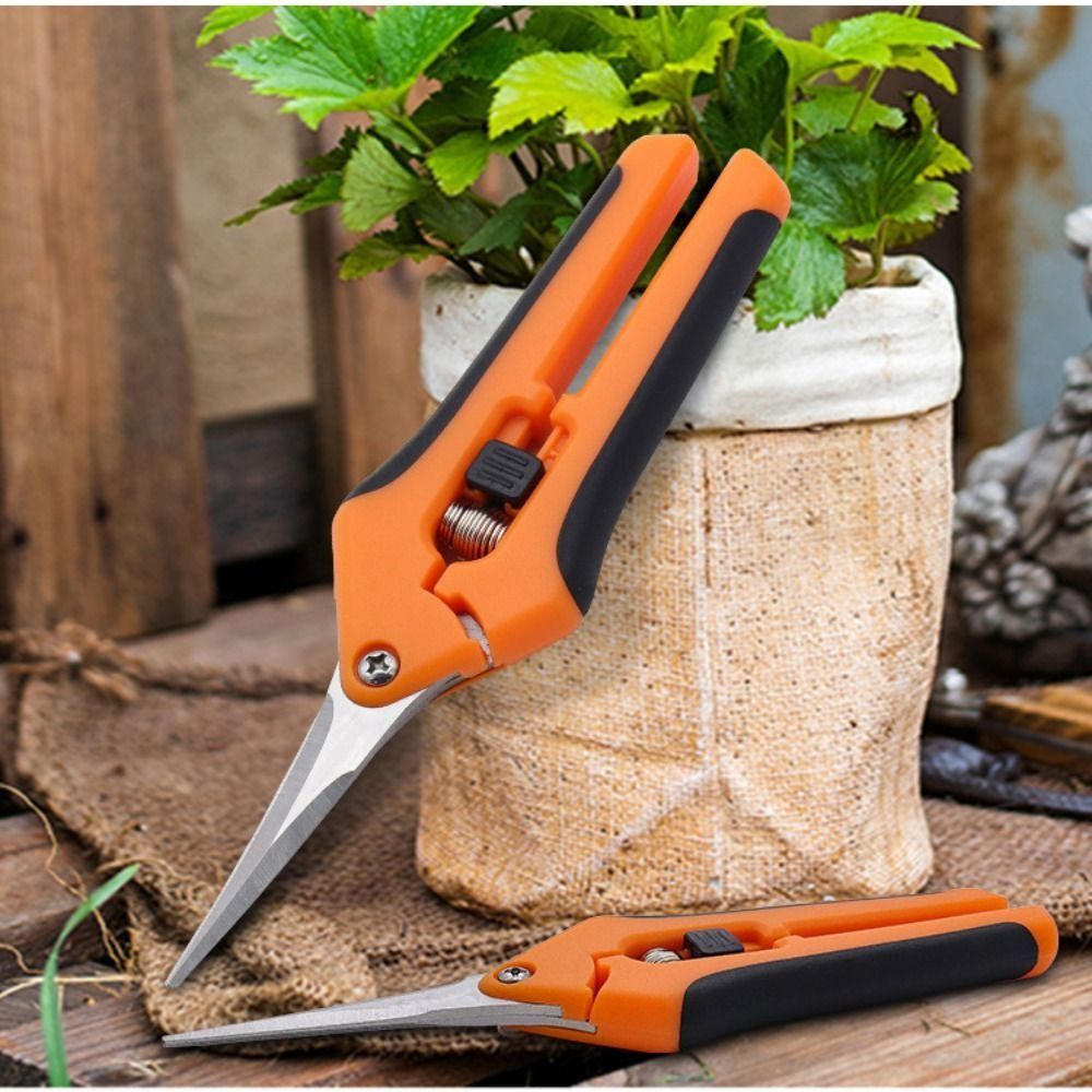 CINNAMON Dụng cụ tỉa cây làm vườn 8 inch Dụng cụ Bonsai Máy cắt cầm tay Dụng cụ làm vườn Hái cỏ Kéo cắt hoa Dụng cụ cắt tỉa Kéo cắt tỉa làm vườn Kéo làm vườn