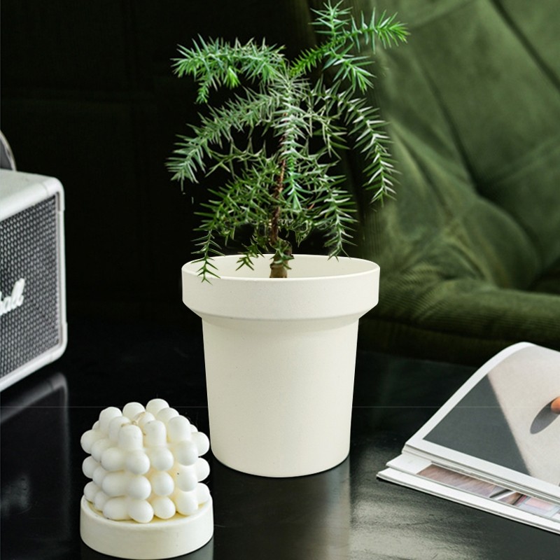 Spring Home กระถางแคคตัส ตกแต่งเดสก์ท็อป กระถางพลาสติก สไตล์มินิมอล รุ่นหนา เหมาะสำหรับปลูก flower ราคา 18 บาท*ส่งฟรี