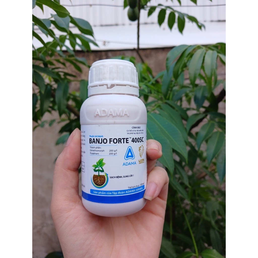 Banjo Forte 400sc 100ml CAM KẾT GIỐNG CHUẨN F1