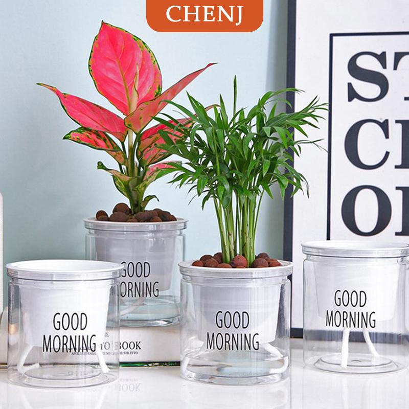 [COD] CHENJ กล่องปลูกต้นไม้พลาสติกกระถางดอกไม้สำหรับปลูกต้นไม้ในบ้านสวนกระถางปลูกต้นไม้ในตอนเช้ารู้สึกสดชื่น - ยี่ห้อ CHENJ ราคา 24 บาท*ส่งฟรี