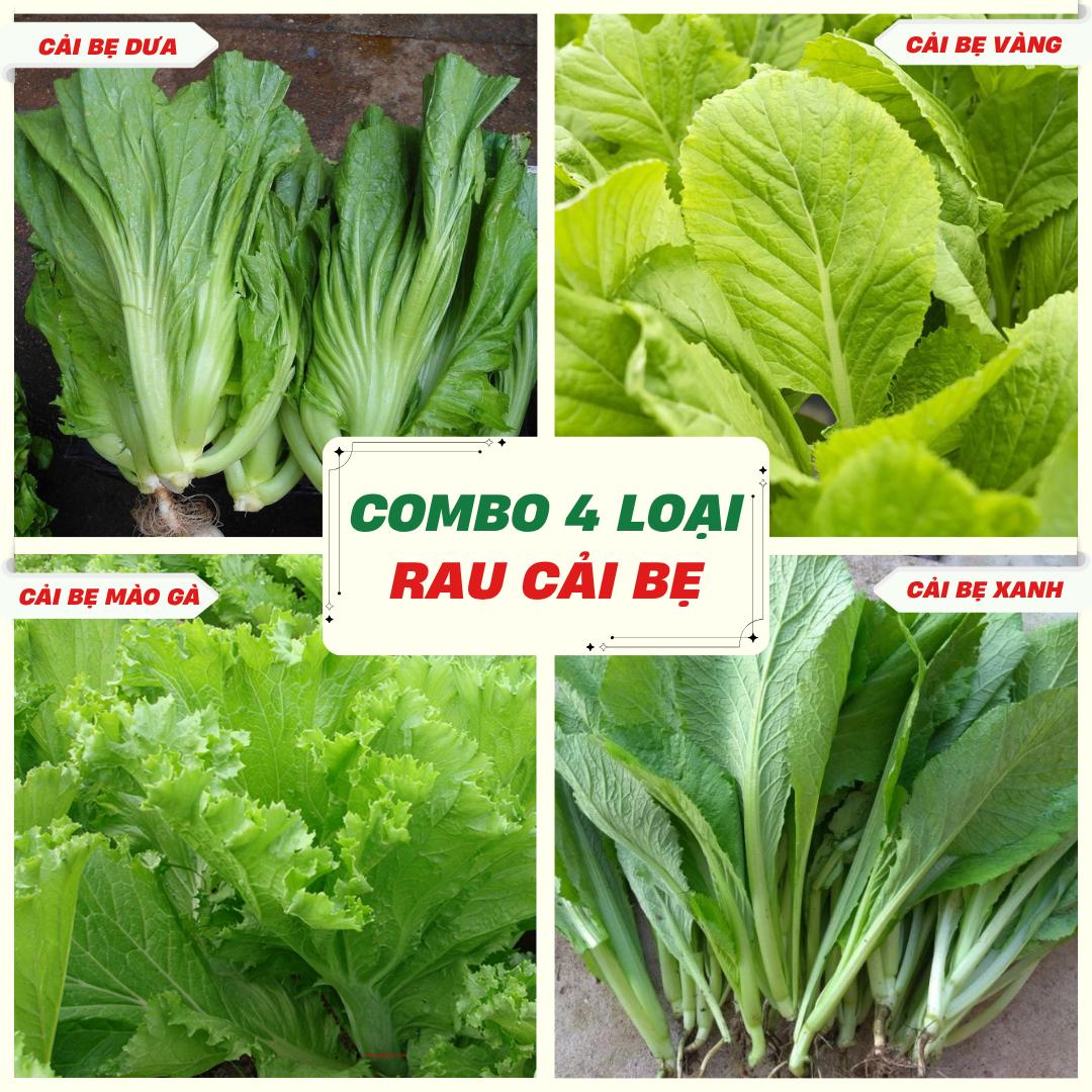 [Combo 4 Cải Bẹ Tặng Cải Dún] Hạt Giống Rau Cải Bẹ Xanh Mỡ, Cải Bẹ Mào Gà, Cải Bẹ Vàng Ngọt, Cải Bẹ Dưa + Tặng Cải Bẹ Dún - HK Seeds