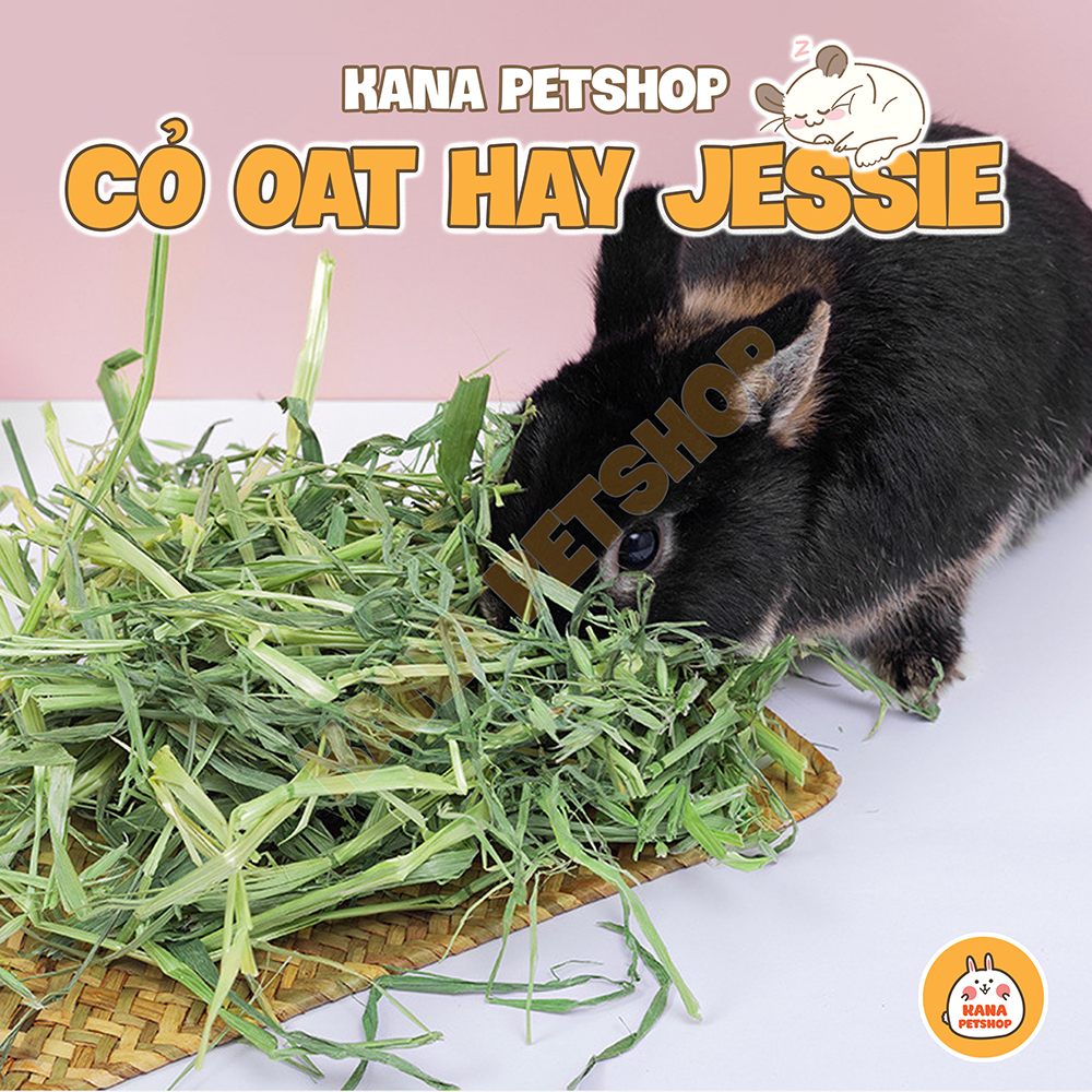 Cỏ yến mạch 🐹freeship🐹 oat hay jessie cỏ khô dinh dưỡng cho thỏ - bọ - hamster