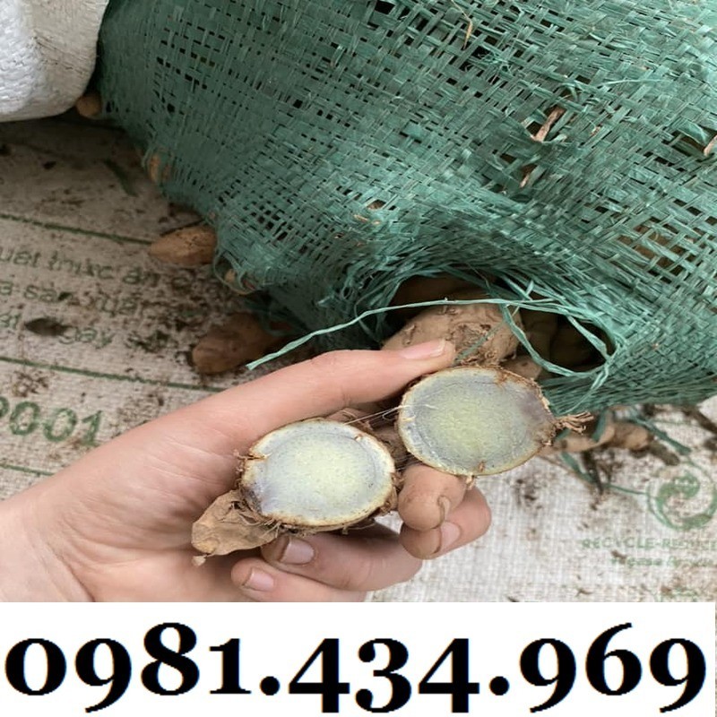 Sốc-Nghệ Đen Khô Thái Mỏng 01KG Siêu Sạch Chuẩn Chất