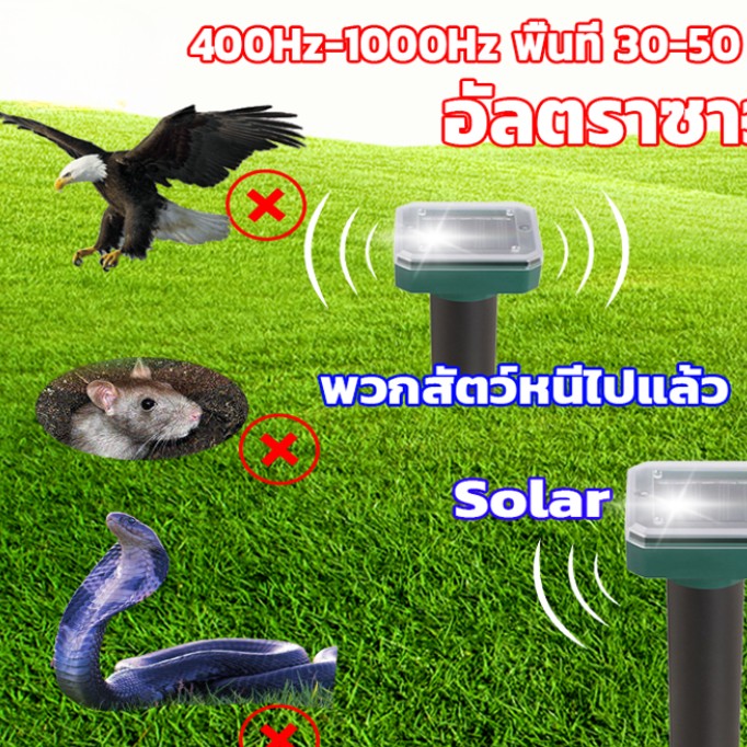 เครื่องไล่นก เครื่องไล่สัตว์ อัลตราโซนิกโดยพลังงานแสงอาทิตย์ ปกป้องพืชผล ขับไล่สัตว์ เครื่องไล่หนู ไล่แมลง เครื่องไล่งู อุปกรณ์ไล่นก ราคา 59 บาท*ส่งฟรี