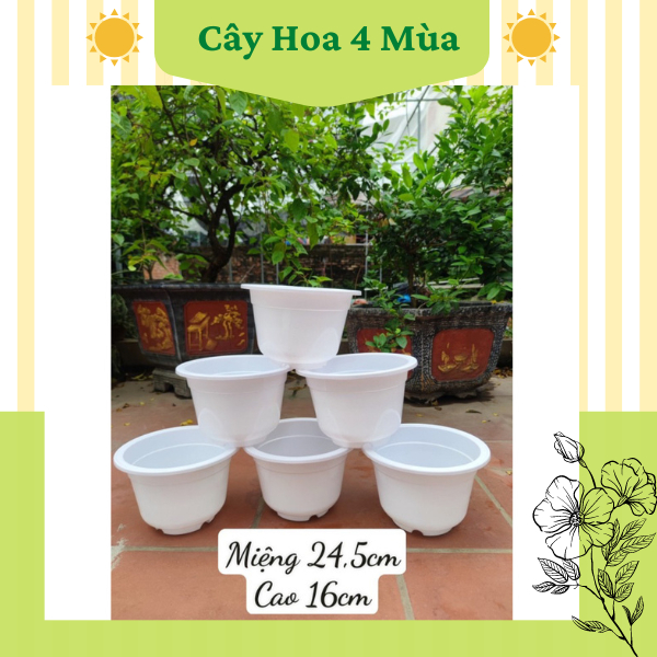10 Chậu nhựa trồng cây không đục trồng sen, bách thuỷ tiên-Combo 10 chậu