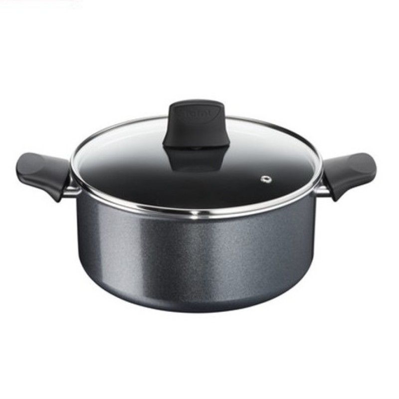 Tefal Cookware Elegance Stewpot 24cm with lid C36746 Singapore