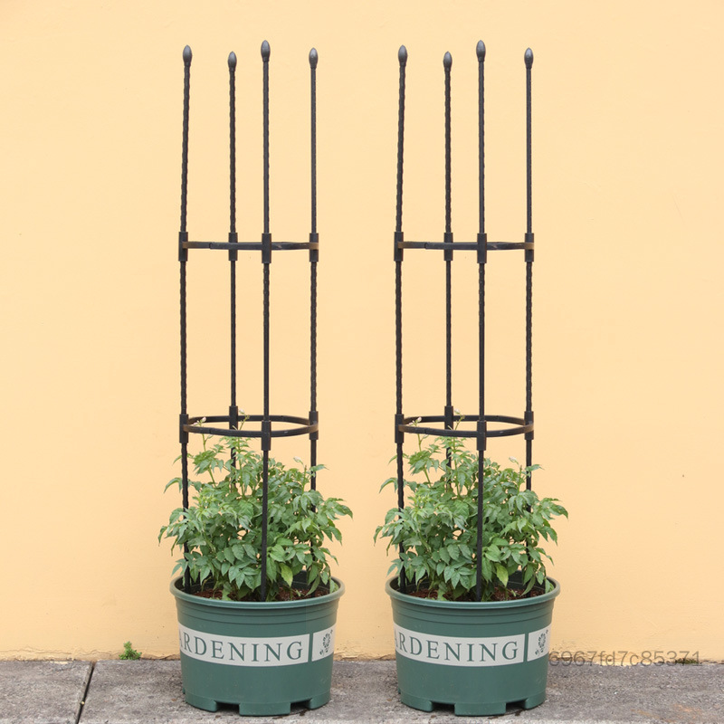 Black 8mm Outdoor Flower Climbing Stand - Assemble Pergola Plant Support for Gardening Presyo 770 Piso*Libreng Shipping