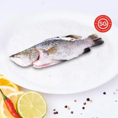 ACE FishMarket Seabass Whole Cleaned Fresh Seafood