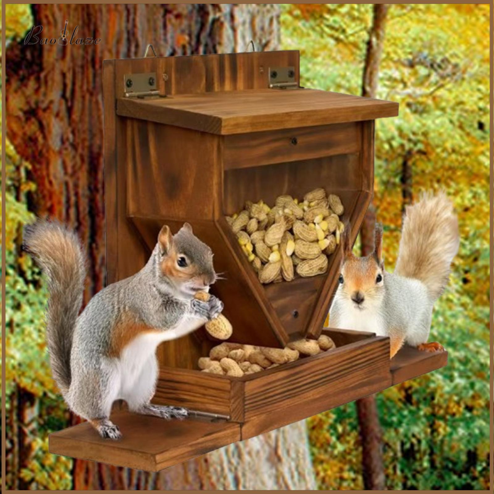 Squirrel Feeding Box for Corn Peanuts Large Easy Installation Stable Wall Mounted for Outside Outdoor Decoration ราคา 1,812 บาท*ส่งฟรี
