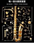 Flat E Alto Western Instruments Beginners Saxophone