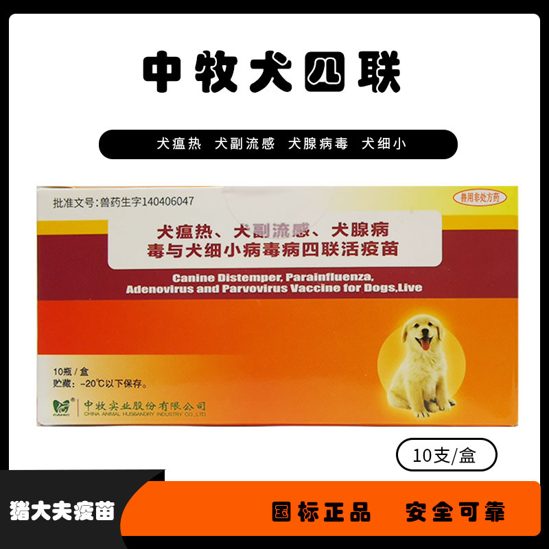 Chó chăn Cừu Trung Quốc tăng gấp bốn lần vắc xin phòng ngừa vắc-xin chó parvovirus chó distemper phòng ngừa adenosis chó là mã cào