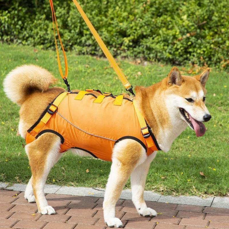 Đai hỗ trợ chó có thể điều chỉnh với Thiết kế chần bông mềm cho thú cưng khuyết tật cao tuổi