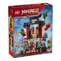 LEGO Ninjago Ninja Character Display 15th Anniversary 71866 (#12351)