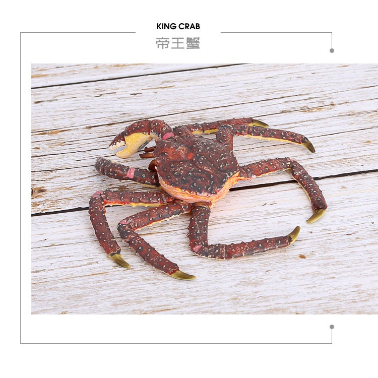 {Xingxing toy} Wholesale ManufacturersSimulation marine animal model solid plastic children's toy king crab stone crab crab model decoration hand-made