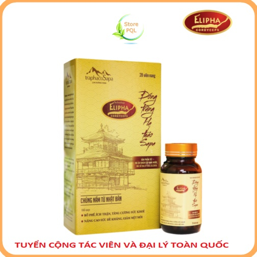 Viên Nang Đông Trùng Hạ Thảo Traphaco Sapa (28 viên)